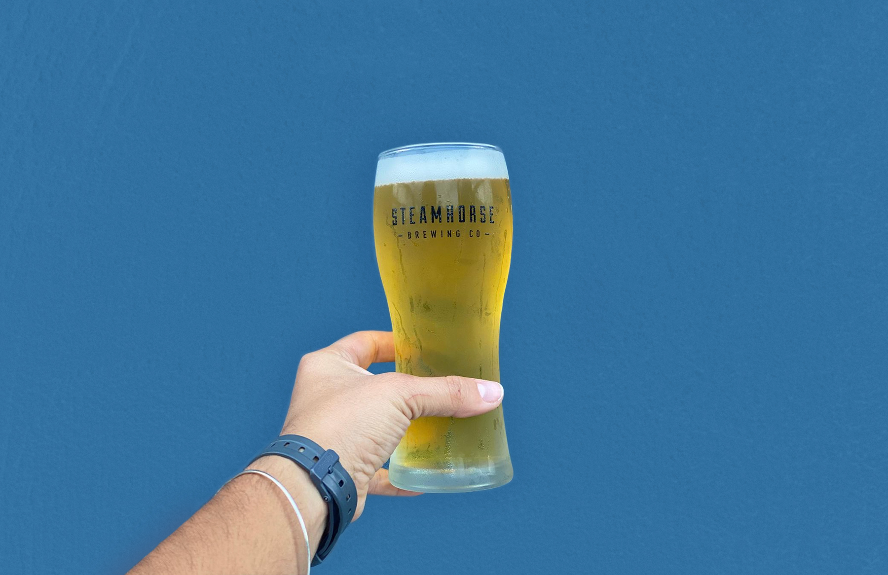 Steamhorse Brewing Co. beer mug being held agains a blue wall.