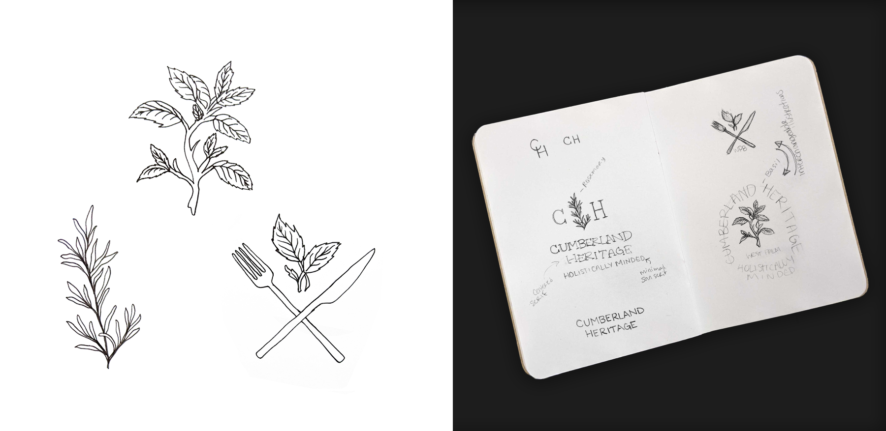 Process sketches of the rosemary sprig, mint leaves and cutlery illustrations we created for Cumberland Heritage along with rough logo lockup sketches.