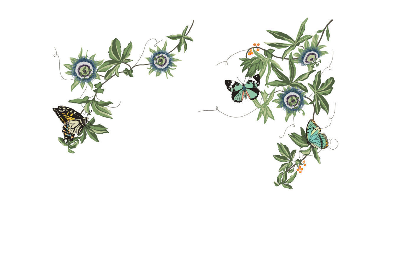 Digital painting of the mural design featuring passion flowers, vines and butterflies, before it would be painted on the front entrance of Lewis Miller Design.